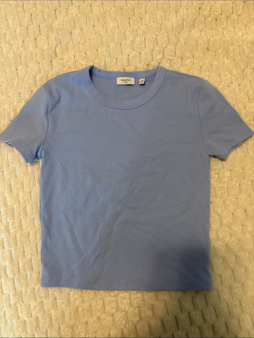 Aritzia Short Sleeve Crewneck Cropped Baby Tee in Dayflower Blue